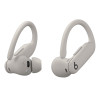 Beats Powerbeats Pro 2 Earbuds Quick Sand