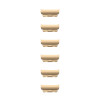 Apple 46mm Radiant Gold Link Bracelet Kit