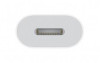 Apple USB-C to Lightning Adapter