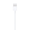 Apple Lightning to USB Cable (1m)