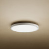 Mi Smart LED Ceiling Light D20