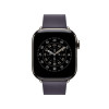 Apple 42mm Midnight Purple Modern Buckle - Large