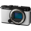 Panasonic LUMIX S9 body smokey white