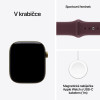 Apple Watch S12 Cell 46mm Rad.Gold Tit,Bur. SB,M/L