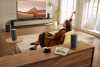 TCL Z100-SW