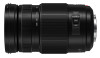 Panasonic Lumix 100-300 mm F4-5.6 OIS