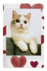 Fujifilm Instax mini Heart Sketch WW 10ks fotek