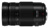 Panasonic Lumix 100-300 mm F4-5.6 OIS