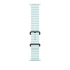 Apple 49mm Ocean Band Black Titanium Ice Blue