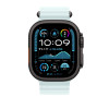 Apple 49mm Ocean Band Black Titanium Ice Blue