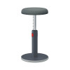 Leitz Ergo Cosy ergonomická balanční židle, šedá