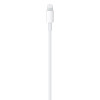 Apple USB-C to Lightning Cable (1m)