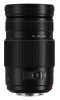 Panasonic Lumix 100-300 mm F4-5.6 OIS
