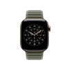 Apple 42mm Sage Gray Magnetic Link - S/M