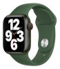 Apple 41mm Clover Sport Band