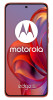 Motorola EDGE 50 Neo 256+8GB DS Pantone Poiciana