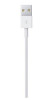 Apple Lightning to USB Cable 2m