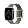 Apple 42mm Sage Gray Modern Buckle - Medium