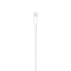 Apple Lightning to USB Cable (1m)