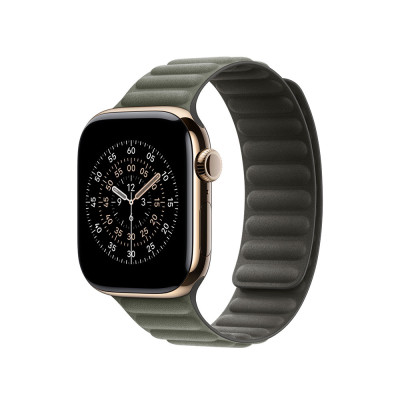 Apple 42mm Sage Gray Magnetic Link - S/M