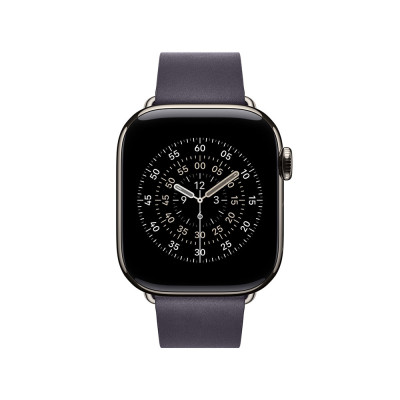 Apple 42mm Midnight Purple Modern Buckle - Small