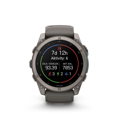 Garmin fenix 9 51mm Titanium/Pebble Gray Sport Band