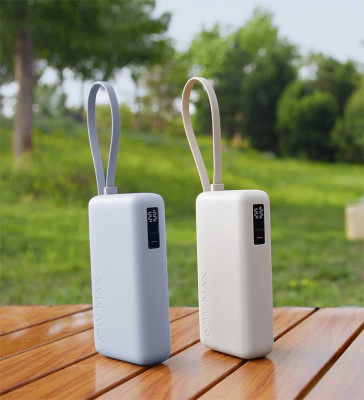 Xiaomi 67W Power Bank 10000 (with Cable) Tan