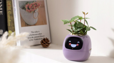 Inteligentní květináč PLANTSIO IVY fialový