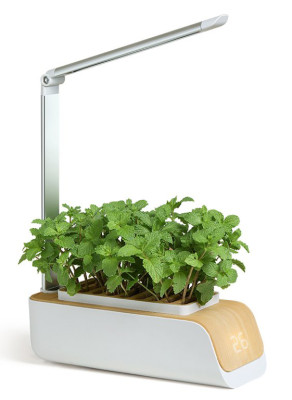 BOT Chytrý květináč s LED - světlé dřevo