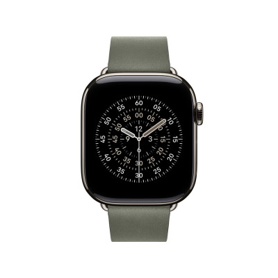 Apple 42mm Sage Gray Modern Buckle - Small
