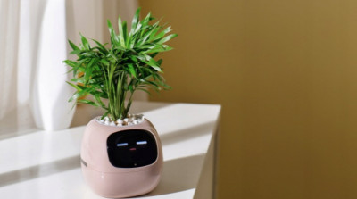 Inteligentní květináč PLANTSIO IVY růžový