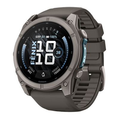 Garmin fenix 9 51mm Titanium/Pebble Gray Sport Band