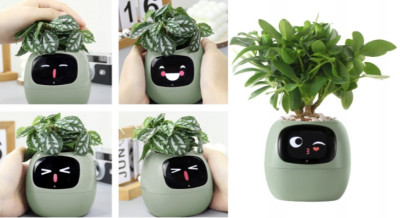 Inteligentní květináč PLANTSIO IVY zelený