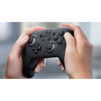 Nintendo Switch 2 Pro Controller