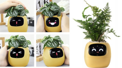 Inteligentní květináč PLANTSIO IVY žlutý