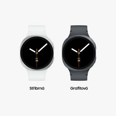 Samsung Galaxy Watch 8 (44mm,BT) Silver