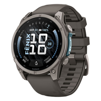 Garmin fenix 9 47mm Titanium/Pebble Gray Sport Band