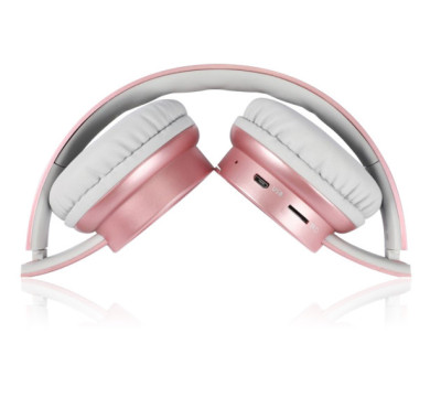ALIGATOR AH02 Bluetooth, FM, SD karta, Rosegold