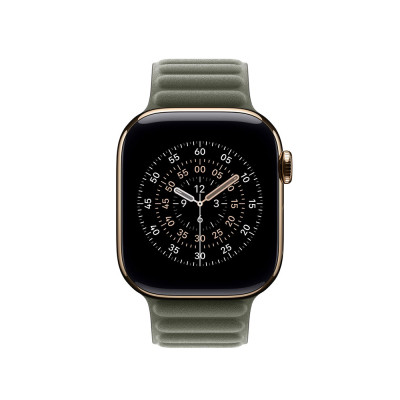 Apple 42mm Sage Gray Magnetic Link - S/M