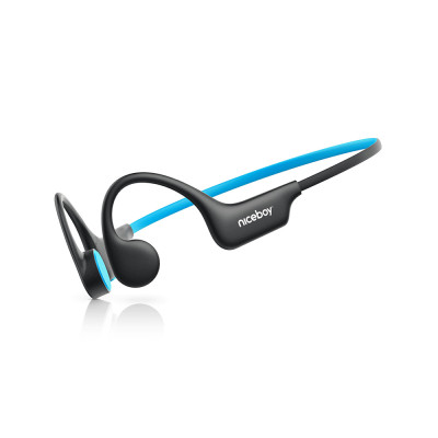 Niceboy HIVE Bones 3 Black