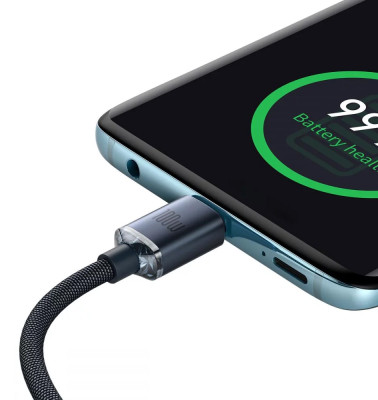 Baseus CAJY000601 data kabel USB-C/USB-C 100W 1,2m