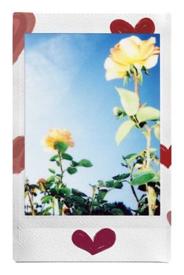 Fujifilm Instax mini Heart Sketch WW 10ks fotek