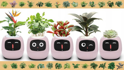 Inteligentní květináč PLANTSIO IVY fialový