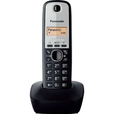 Panasonic KX-TG1911FXG (šedý)