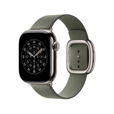 Apple 42mm Sage Gray Modern Buckle - Medium