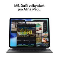 iPad Pro 13" (2025) Cell 256GB - Silver