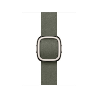 Apple 42mm Sage Gray Modern Buckle - Medium