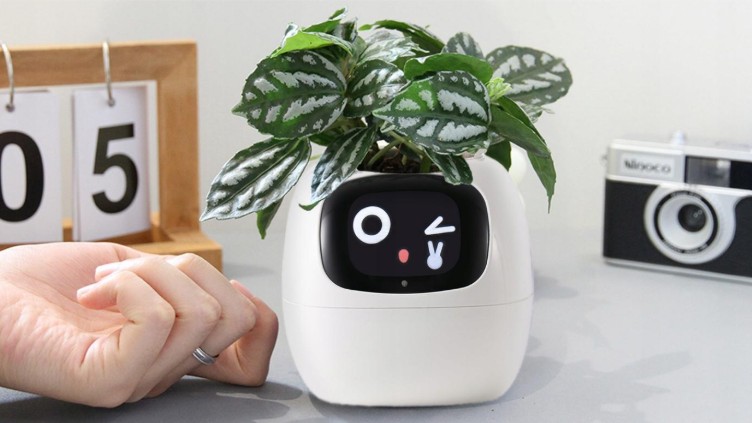 Inteligentní květináč PLANTSIO IVY, hlídá rostlinu