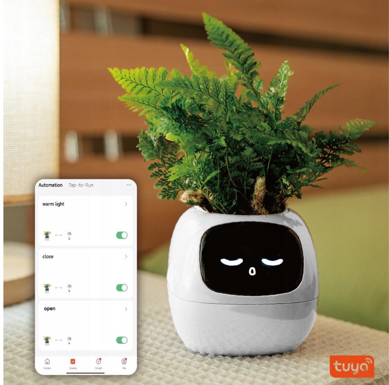 Inteligentní květináč PLANTSIO IVY, v aplikaci vyberete přesný druh rostliny