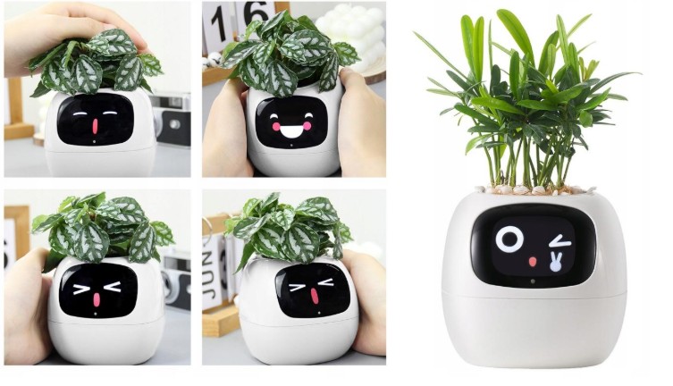 Inteligentní květináč PLANTSIO IVY, doplněk i společník